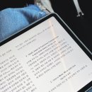 1314 | [터키항공] TK1314 &amp; TK90 탑승후기, 좌석변경, 새로운 기내식