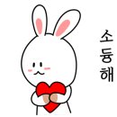 메이팜스대전