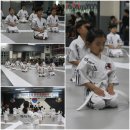 타이거 합기도 도장 이미지