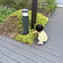 돌놀이 두돌놀이추천 1년 후기 (feat.몬테소리놀이)