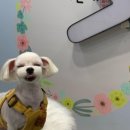 펫츠베이 양산증산점 이미지