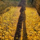 나를 쓰다,너를 쓰다, 우리를 쓰다(쓰쓰쓰,프로젝트) | 23 NOV, 25 / 취준일기_카페와 도서관, 요가, 쓰다보니, 쓸 만해 졌습니다, 마녀스프, 간식과 야식의...