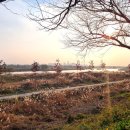 고내천변로 이미지