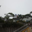 여주본가 이미지