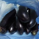 요새 오이와 가지가 넘 싸요 이미지