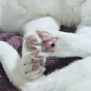 ˖⁺‧₊˚2025년 12월 첫째 주 일상♡˚₊‧⁺˖