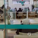 대세연