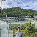 이숙자농장 이미지