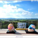 충남목장 이미지