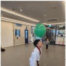 리더스 석사태권도 이미지