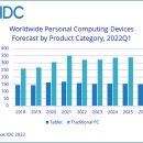 PC 레이스 고 이미지