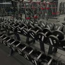 디센트짐 한들물빛점 | 헬스장 디센트짐 한들물빛점 아산 탕정면 가격 비용 후기 추천