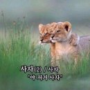 온사야 | PVCS 한남 2026 패딩 프리오더 / 입어보고 온 후기 / 사야 됨..!