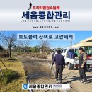유성대로3 | 대전 보도블럭 산책로 바닥 이끼제거 고압세척 청소 후기