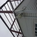 승설 녹차 이미지