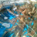 거성냉장 이미지