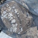 산수리 마을회관 이미지