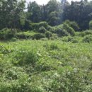 불은면-11 이미지