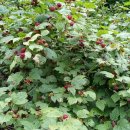 유계초등학교 이미지