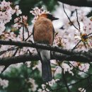 금곡동-4 이미지