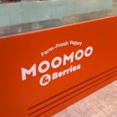 멍앤리치 | [강남 논현]학동역 그릭요거트 맛집 무무앤베리스 내돈내산