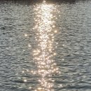 이불 속 댕댕이 | 🐾 강아지랑 겨울에 가기 좋은 양양 애견동반펜션 &lt;복골온천-케빈형 커플룸1&gt; 솔직후기