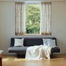 스테이서귀 이미지