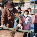 광영초교 이미지