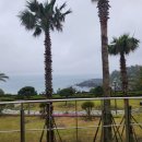 제주수련원 놀멍쉬멍게임존 | NH농협은행 제주수련원 예약방법, 26평형 숙박후기, 부대시설, 조식