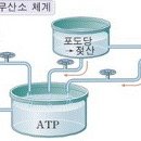 등촌사우나 이미지