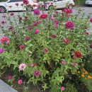 뉴신도공인중개사사무소 이미지