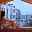 순진한가 이미지