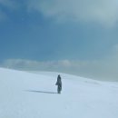 로코베리 카카오 검색결과