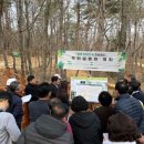 치유의숲 이미지