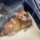 조재진 동물병원 이미지