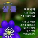 식구이야기