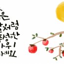바로본안경(화성점) 네이버블로그