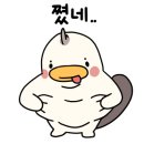 정글주스 이미지