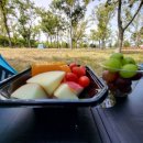 더(The)과일 이미지