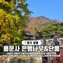 용문사 일주문 | 경기도 양평 용문사, 1100살 은행나무 단풍과 사찰 탐방기