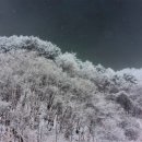 더하얀세상 이미지