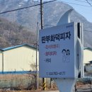 판부화덕피자 이미지
