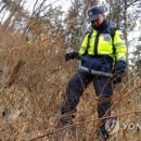 덕진인공수정 이미지