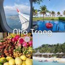 2월 호텔 김해점 | 2월 설 연휴 나트랑 연말여행 추천 트래블로카 항공권, 호텔 최대 85% 할인