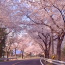 명촌길천로 이미지