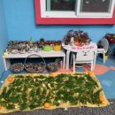 제주안안민박 이미지