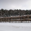 황태덕장 이미지