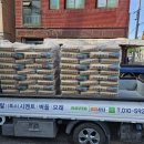 부일초등학교2 이미지