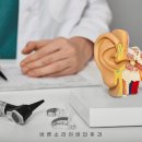 고려보청기 이미지