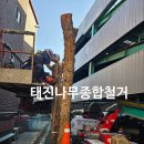 태진종합서비스